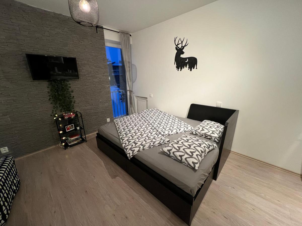 New Nelis Apartment Klinovec Loucna pod Klinovcem Ngoại thất bức ảnh