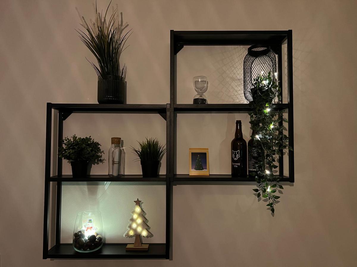 New Nelis Apartment Klinovec Loucna pod Klinovcem Ngoại thất bức ảnh